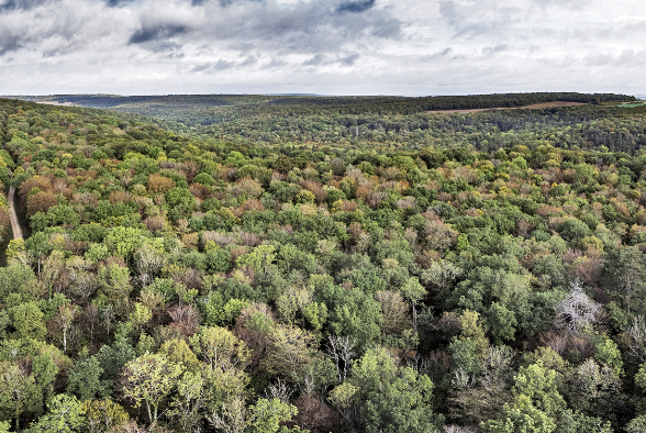 Modèle de compatibilité climatique IKS
